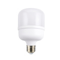 IP20 T100 LED Bulbs with E27 Lamp Holder